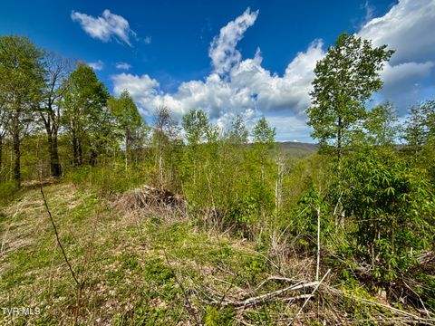 Vacant Land For Sale - 19/AC Tbd Edith Gouge Rd<br/> Unicoi County, Unicoi, TN 37692