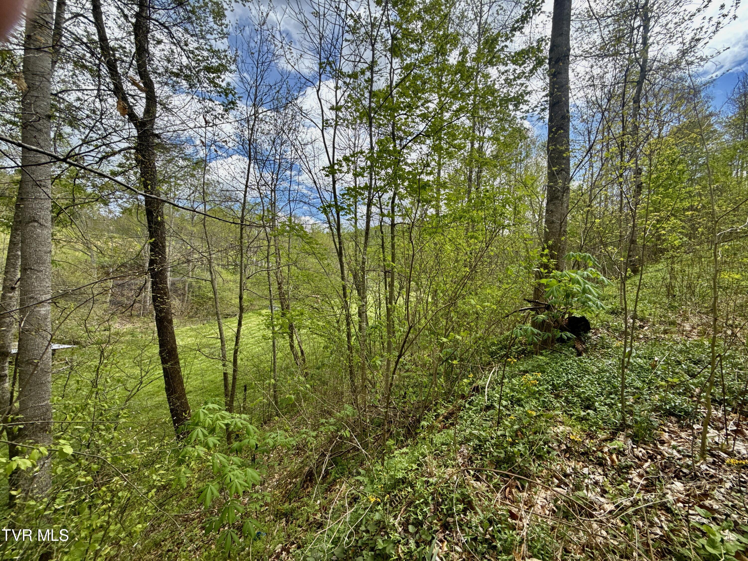 19/Ac Tbd Edith Gouge Rd, Unicoi, Tennessee image 7