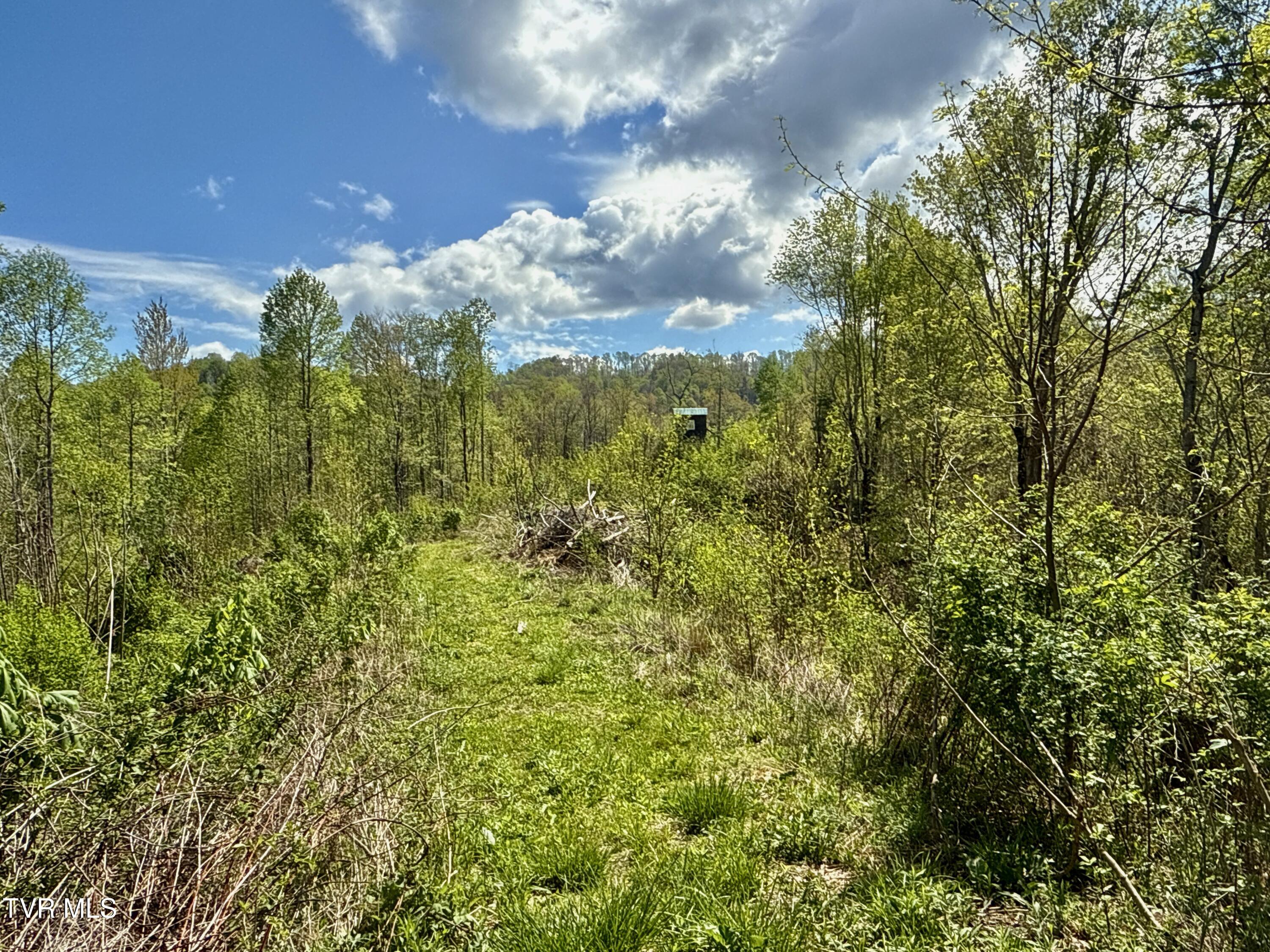 19/Ac Tbd Edith Gouge Rd, Unicoi, Tennessee image 2