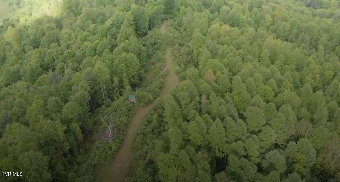 19/Ac Tbd Edith Gouge Rd, Unicoi, Tennessee image 9