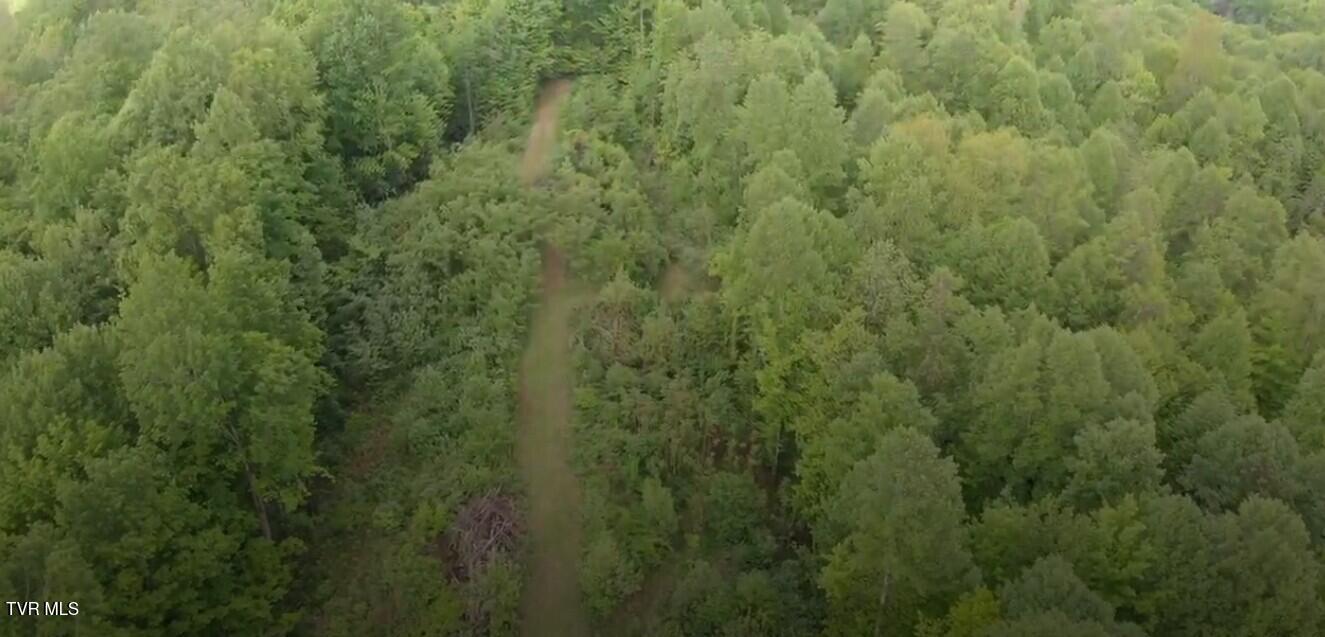 19/Ac Tbd Edith Gouge Rd, Unicoi, Tennessee image 10