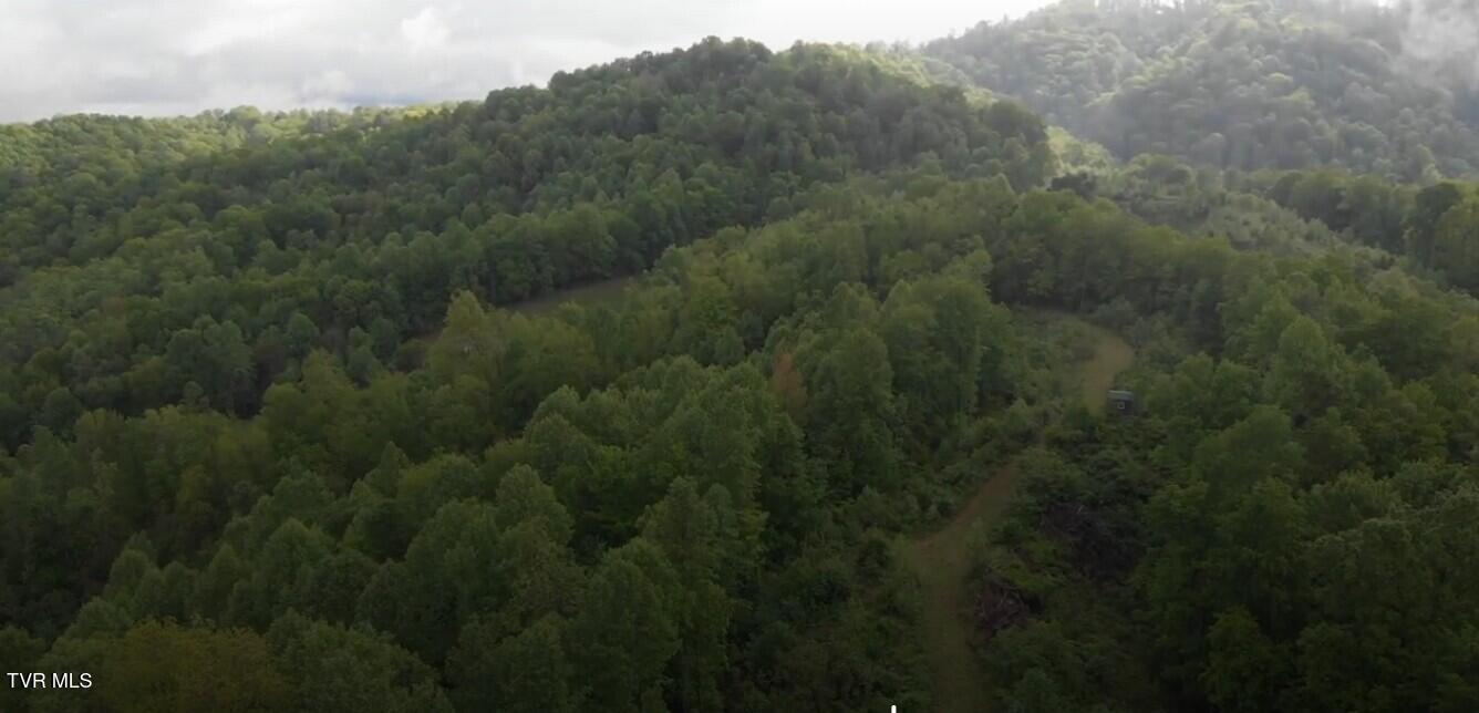 19/Ac Tbd Edith Gouge Rd, Unicoi, Tennessee image 12