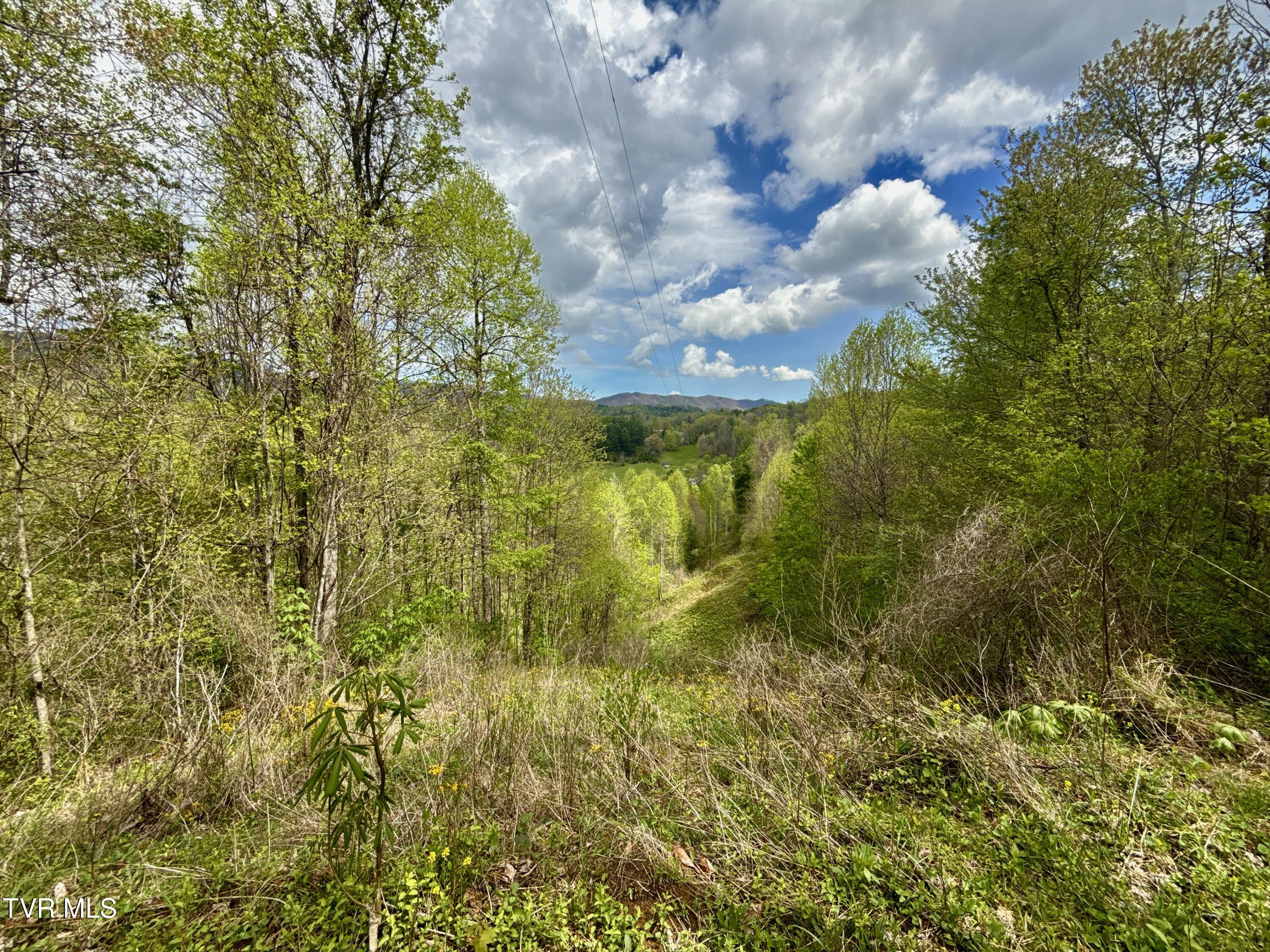 19/Ac Tbd Edith Gouge Rd, Unicoi, Tennessee image 4