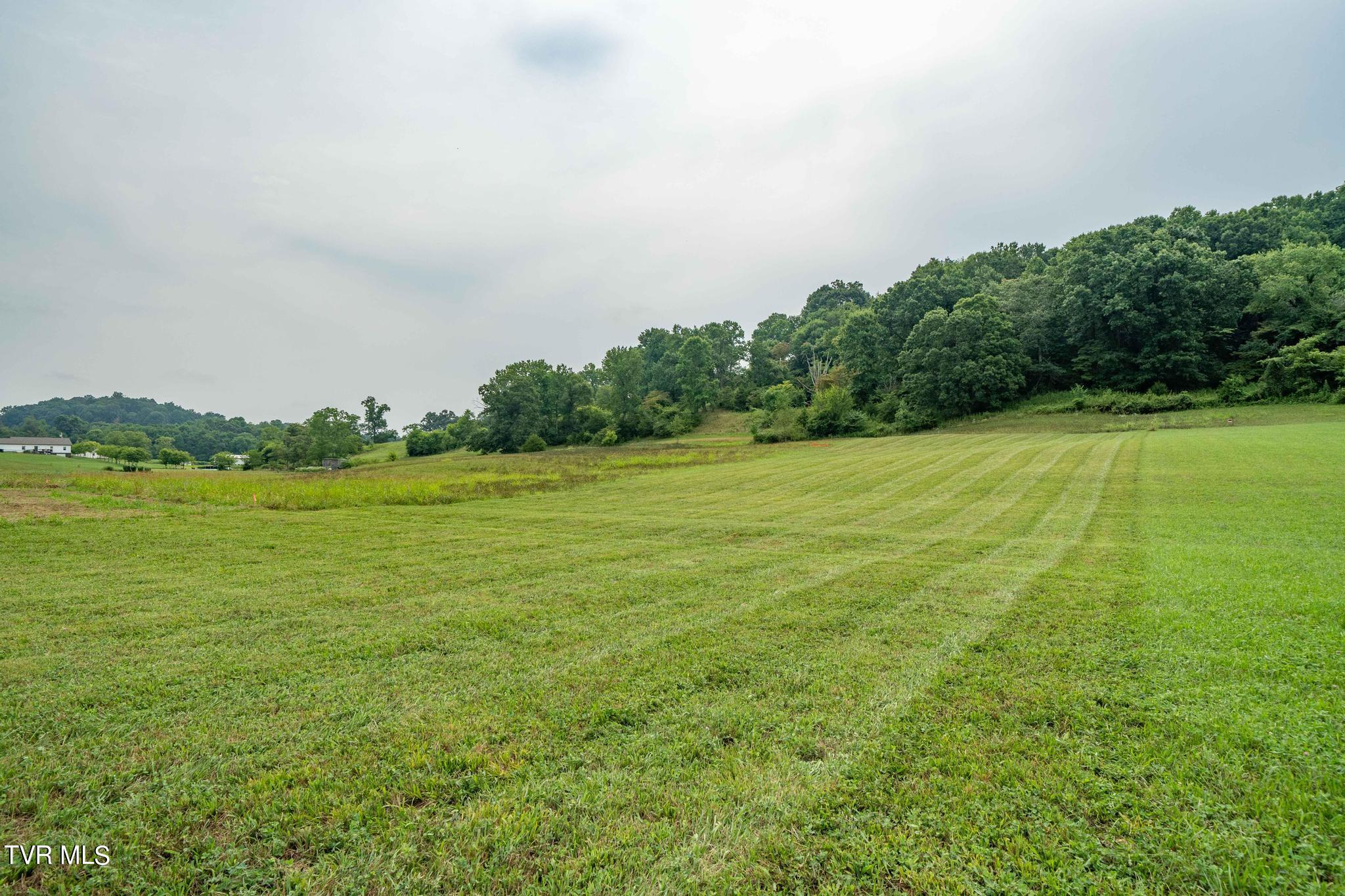 136 Baskett Road, Jonesborough, Tennessee image 35