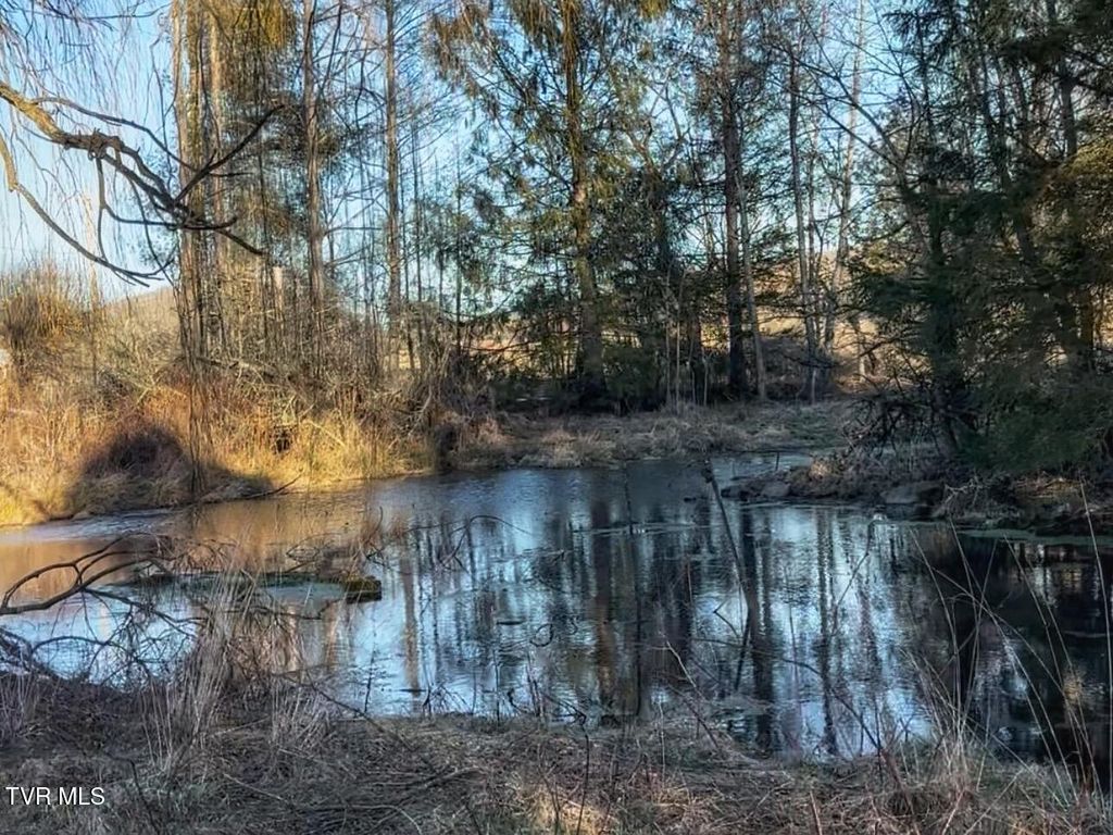 Photo of 776 Teas Road, Sugar Grove, VA 24375 (MLS # 9991966)