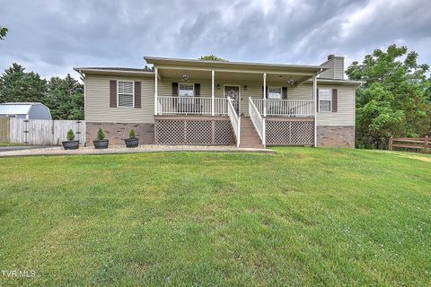 Photo of 110 Jenny Lane, Jonesborough, TN 37659 (MLS # 9995809)