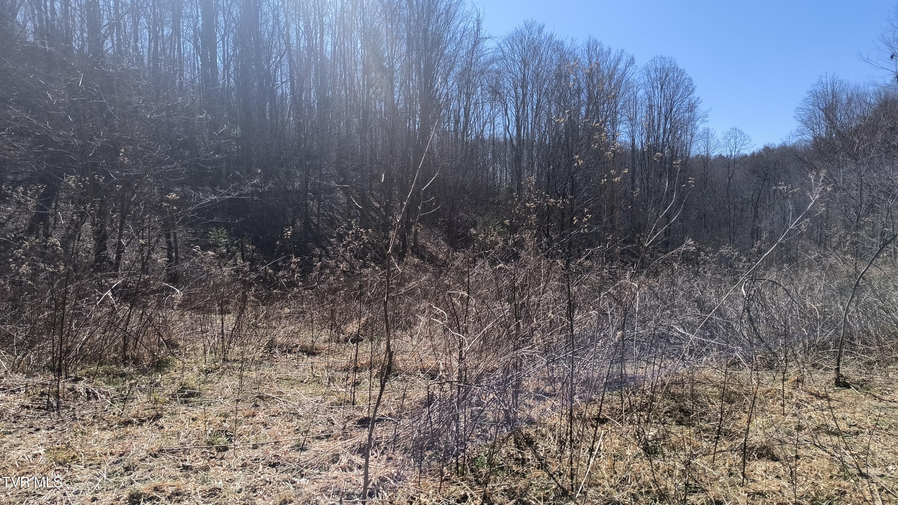841 Green Road, Butler, Tennessee image 24