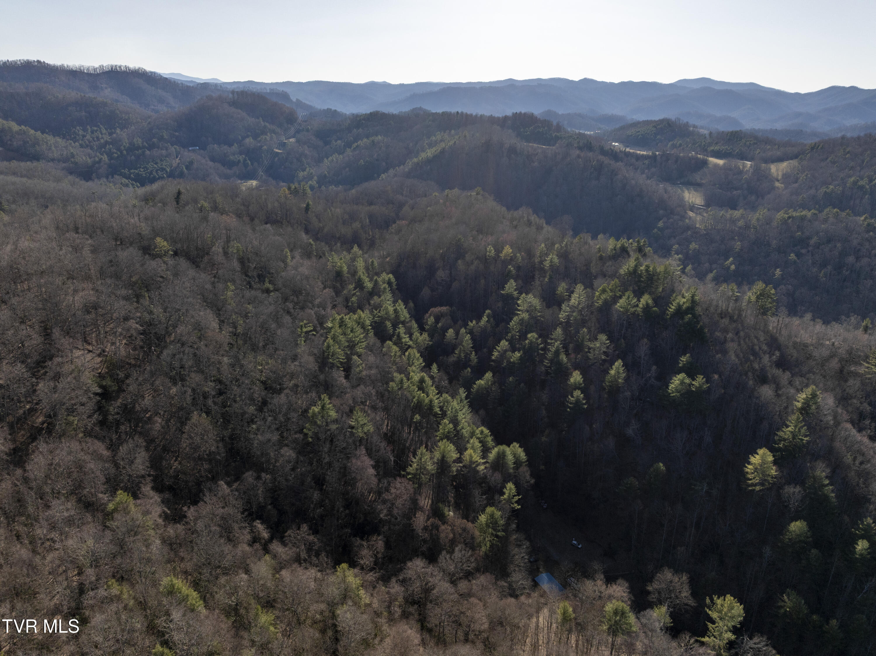 841 Green Road, Butler, Tennessee image 47