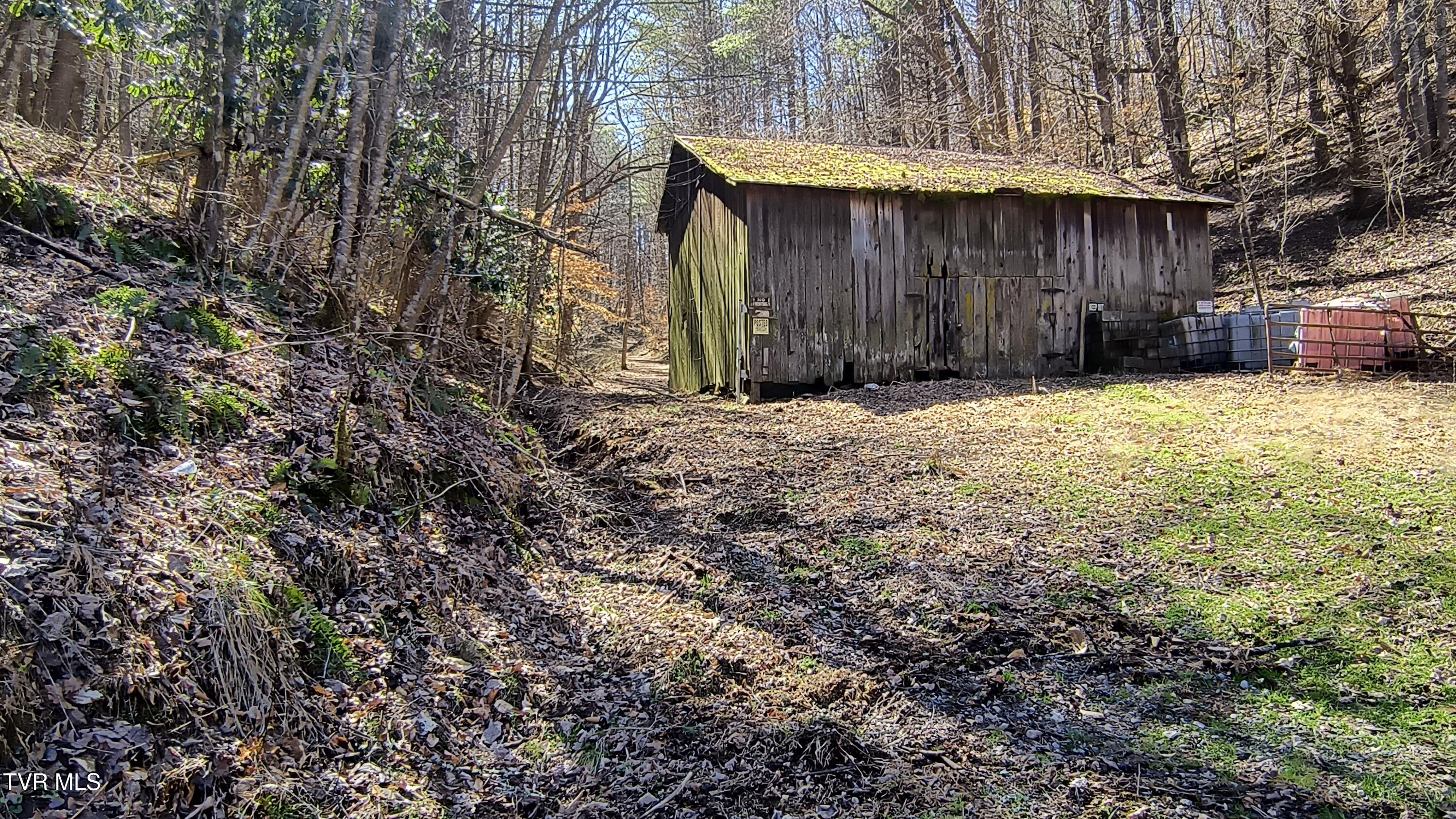 841 Green Road, Butler, Tennessee image 12