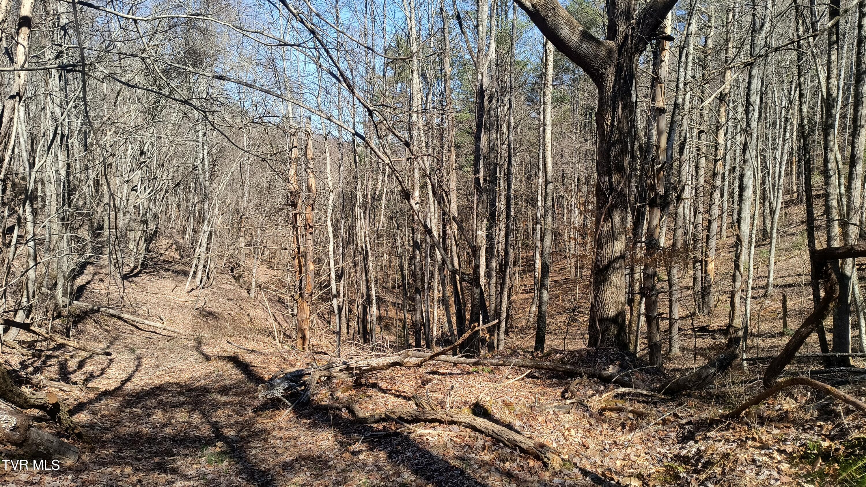 841 Green Road, Butler, Tennessee image 23