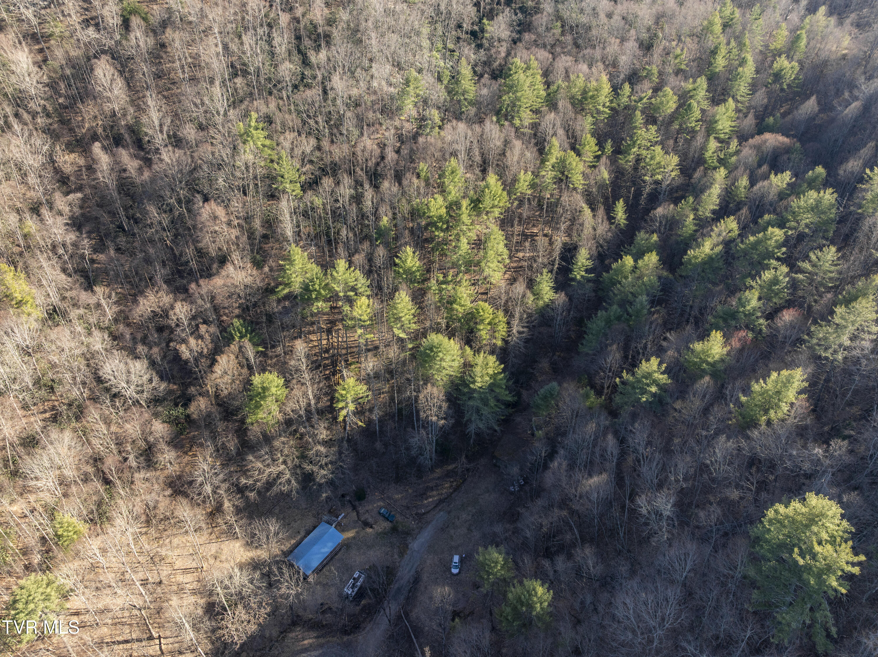 841 Green Road, Butler, Tennessee image 1