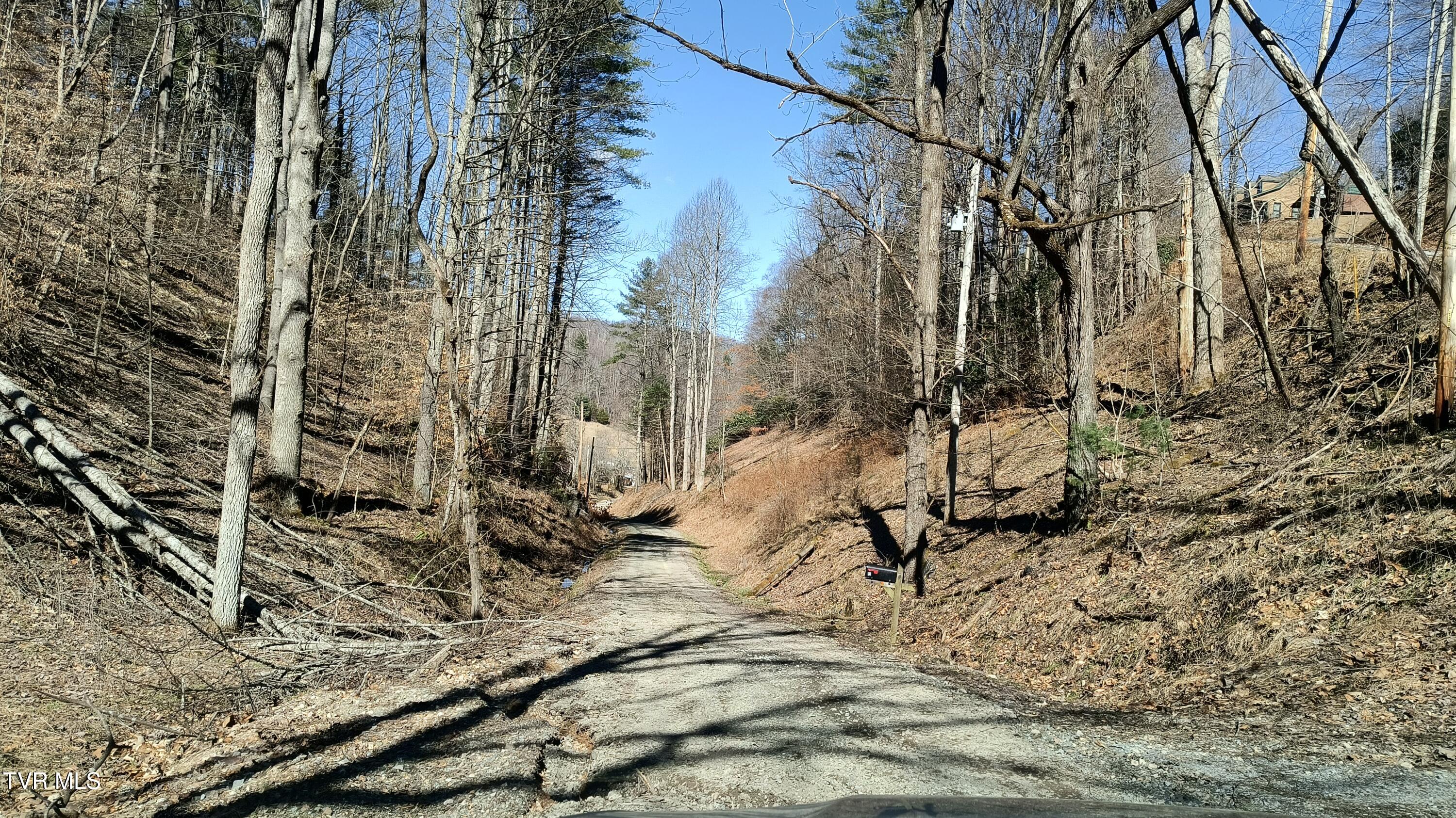 841 Green Road, Butler, Tennessee image 11