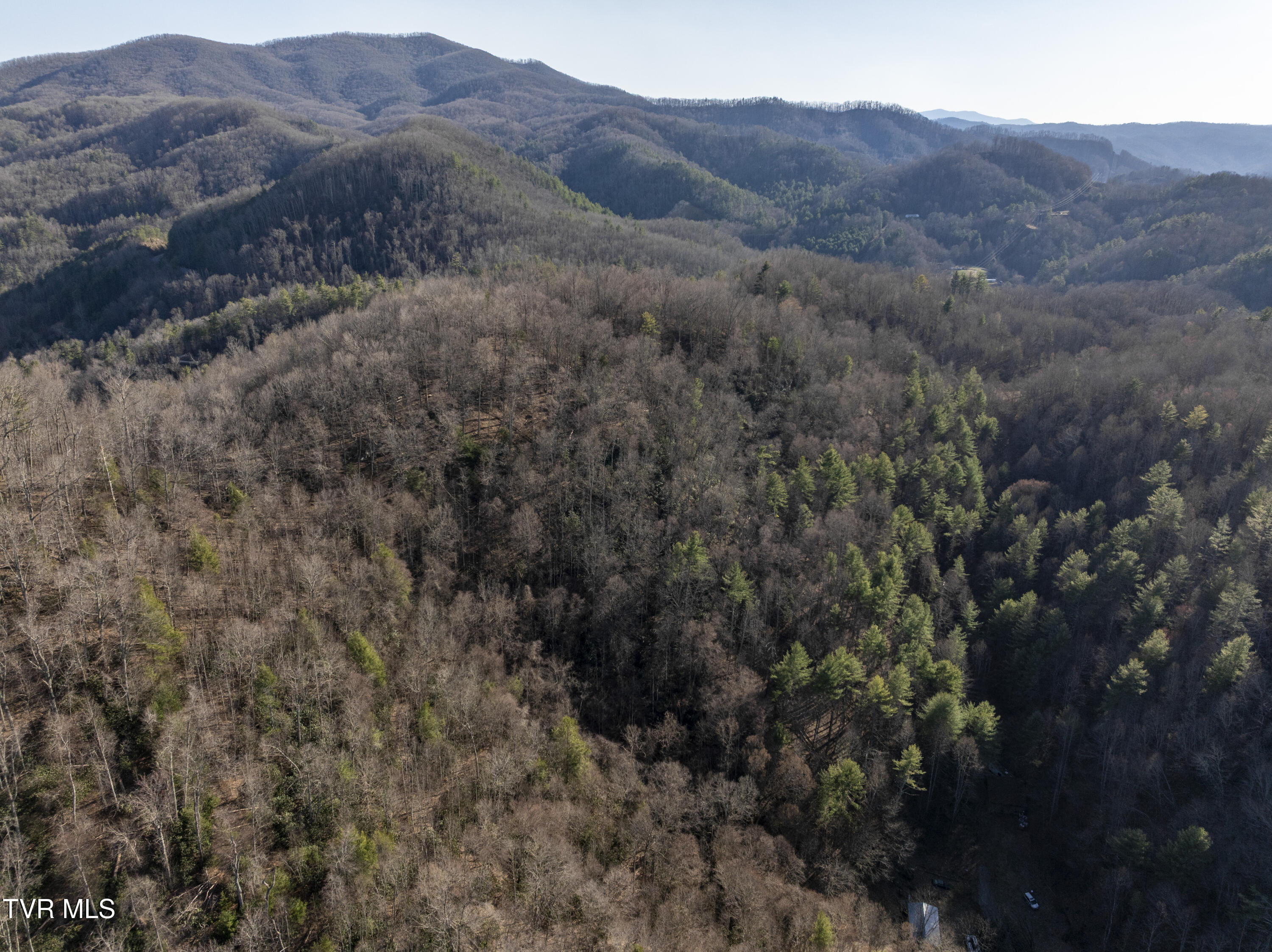 841 Green Road, Butler, Tennessee image 48