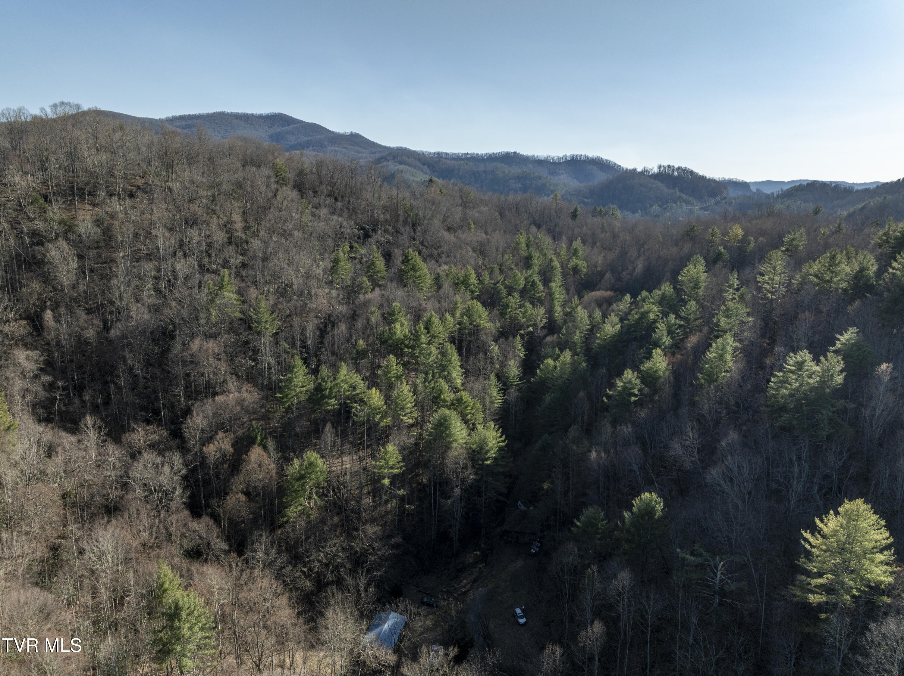 841 Green Road, Butler, Tennessee image 3