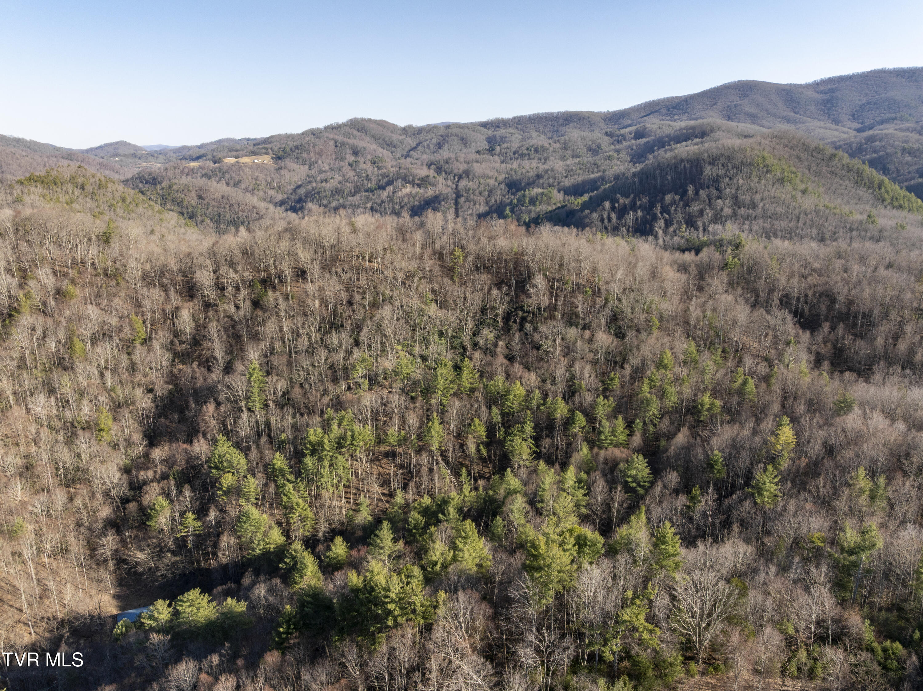 841 Green Road, Butler, Tennessee image 41