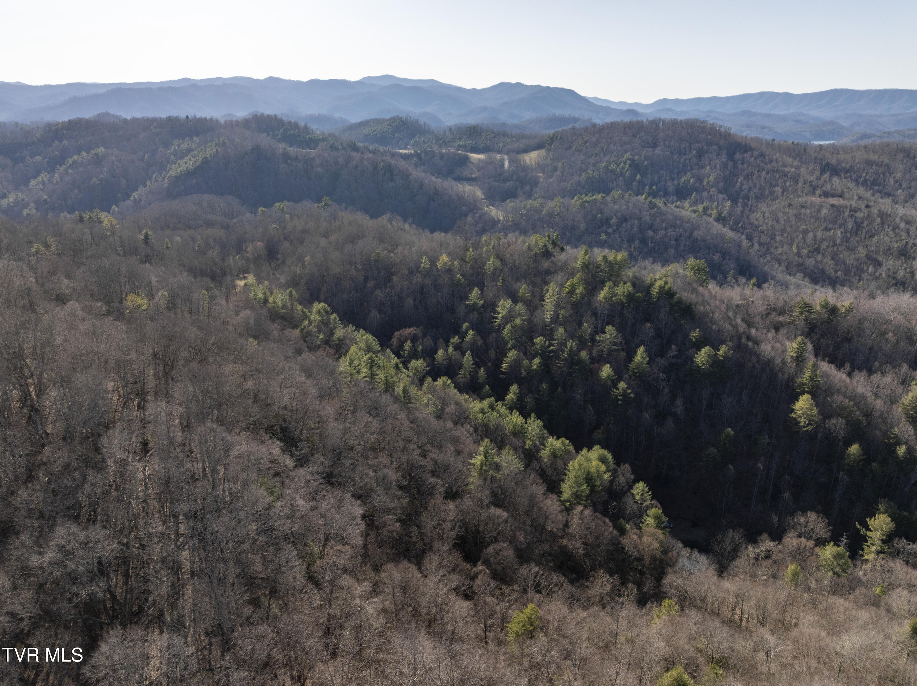 841 Green Road, Butler, Tennessee image 46