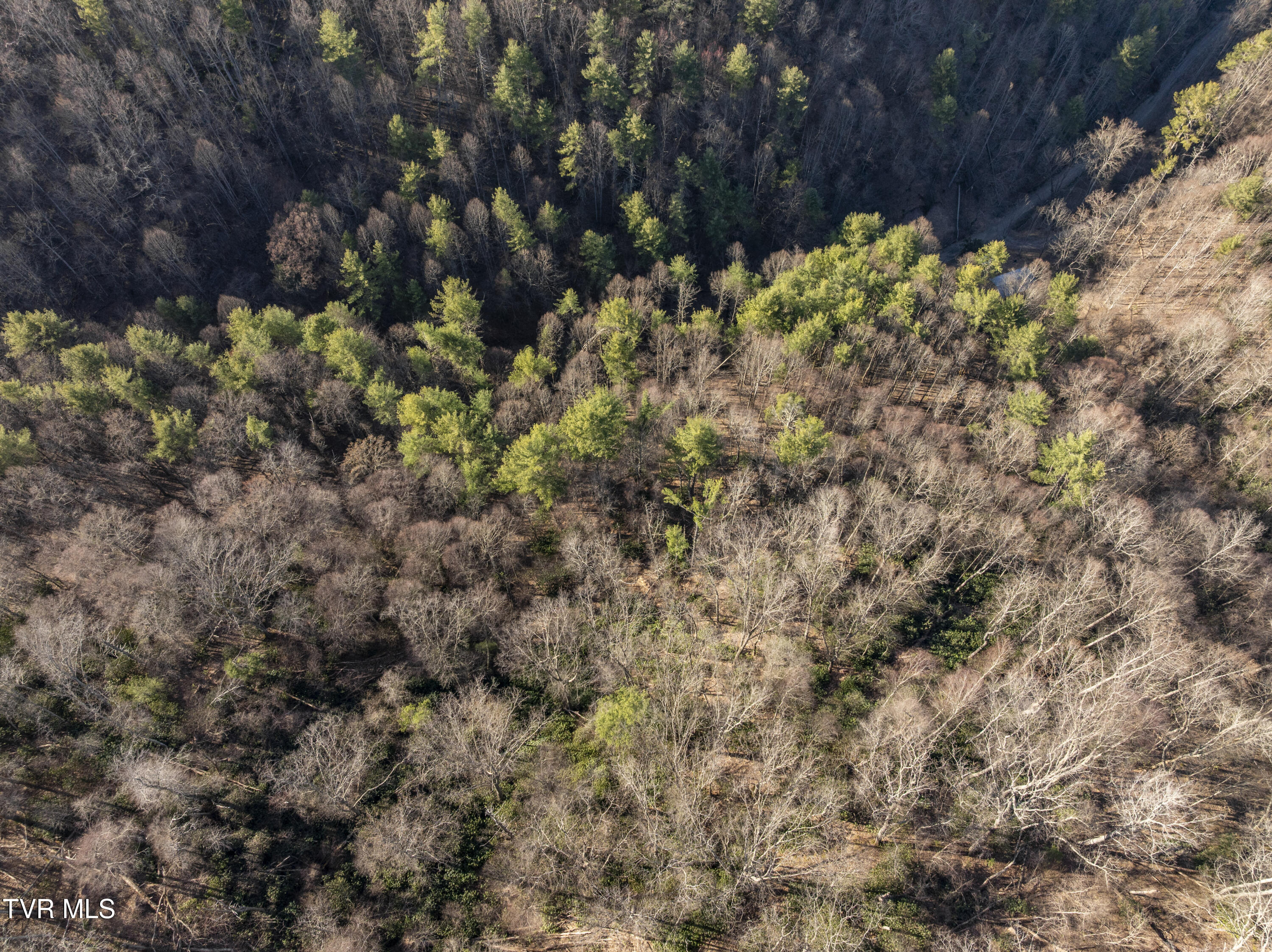 841 Green Road, Butler, Tennessee image 5