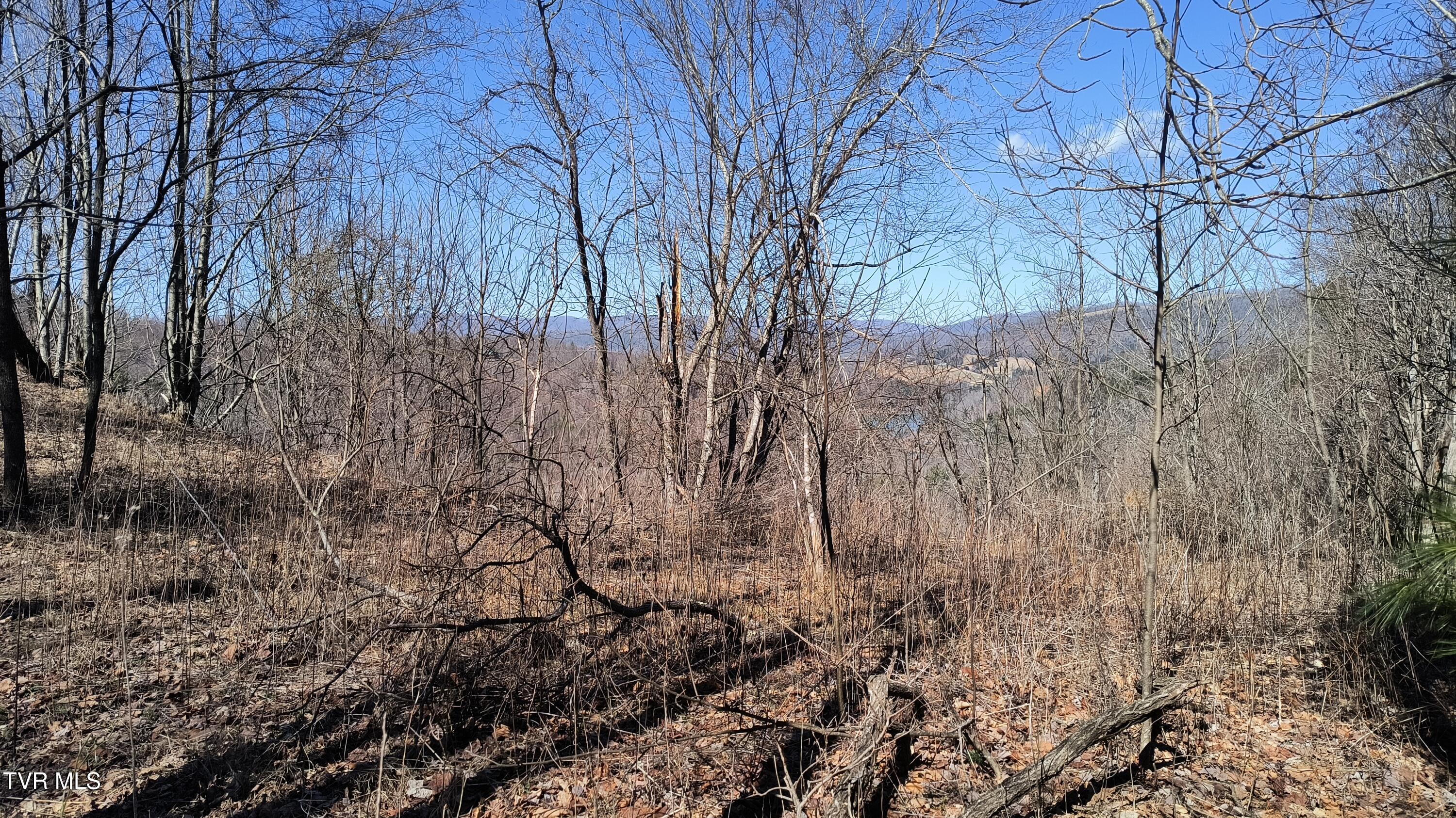 841 Green Road, Butler, Tennessee image 27