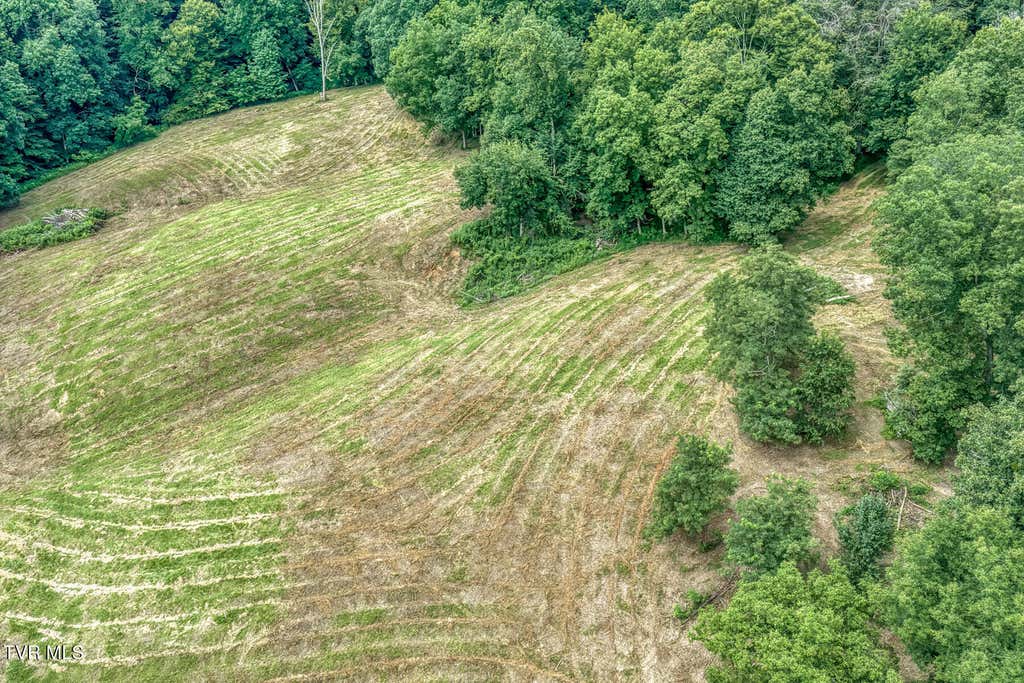 Photo of 10 Strawberry Fields Dr. Road, Johnson City, TN 37604 (MLS # 9999334)