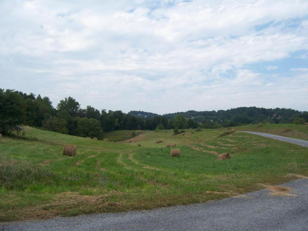 Lake Pointe Drive, Lot 21, Abingdon, Virginia image 1