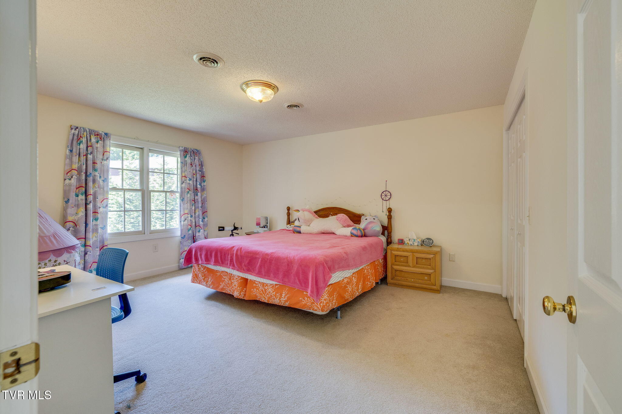 3502 Bondwood Circle, Johnson City, Tennessee image 38