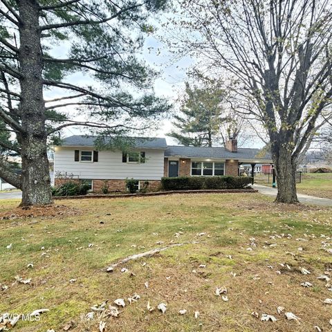 Photo of 320 Green Lane, Blountville, TN 37617 (MLS # 9988360)