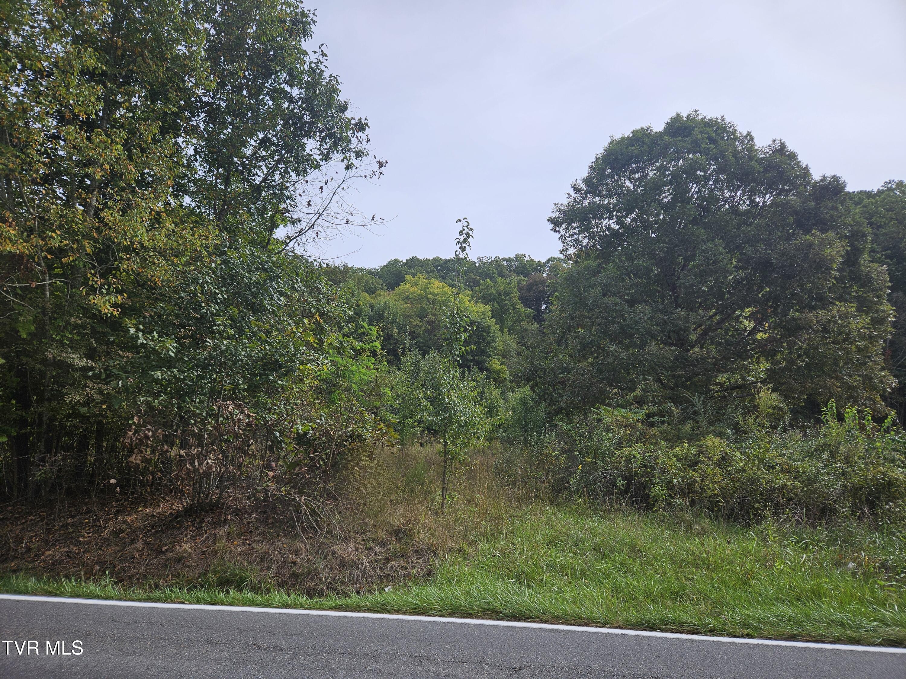 Lot 7 & 8 Old Jonesboro Road
