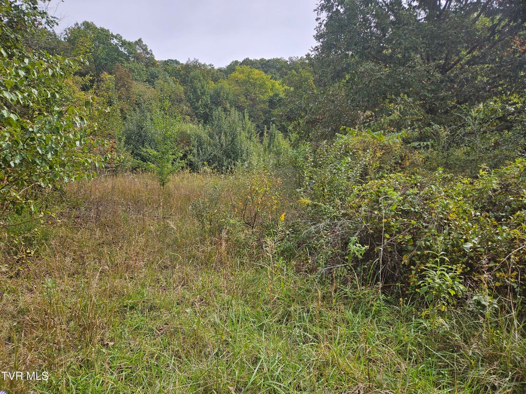 Photo of 78 Old Jonesboro Road, Bristol, VA 24202 (MLS # 10002045)