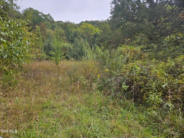 Lot 7 & 8 Old Jonesboro Road Bristol VA 24202