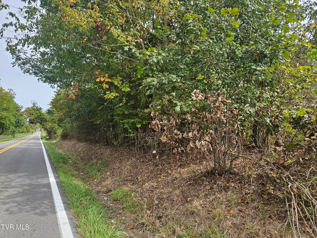 Photo of 78 Old Jonesboro Road, Bristol, VA 24202 (MLS # 10002045)