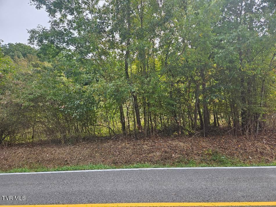 Photo of 78 Old Jonesboro Road, Bristol, VA 24202 (MLS # 10002045)