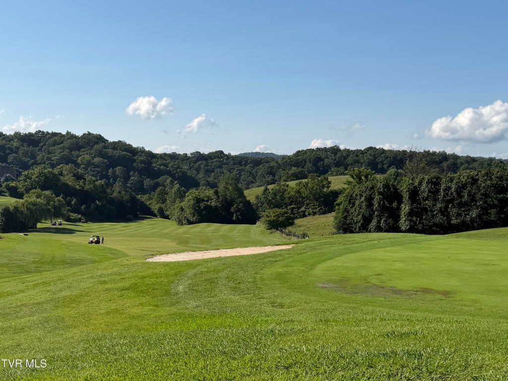 Photo of 161 Golf Ridge Drive, Kingsport, TN 37664 (MLS # 9998925)