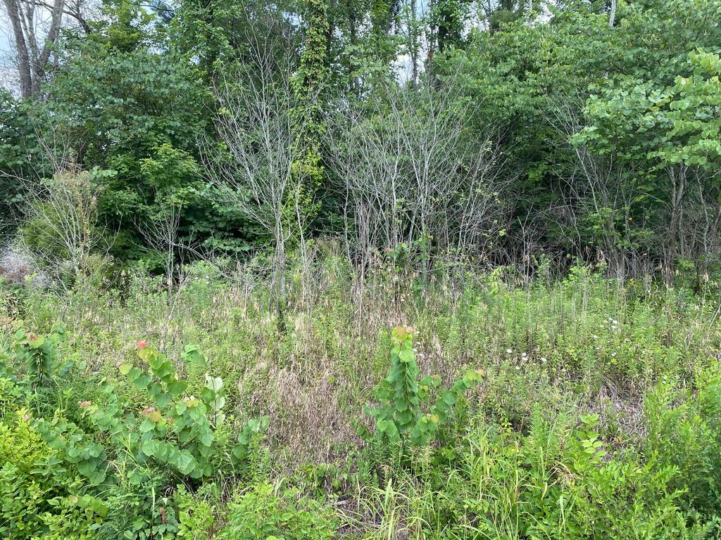 Photo of Tbd Fort Henry Drive, Kingsport, TN 37664 (MLS # 9976000)