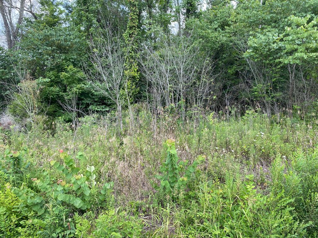 Photo of Tbd Fort Henry Drive, Kingsport, TN 37664 (MLS # 9976000)