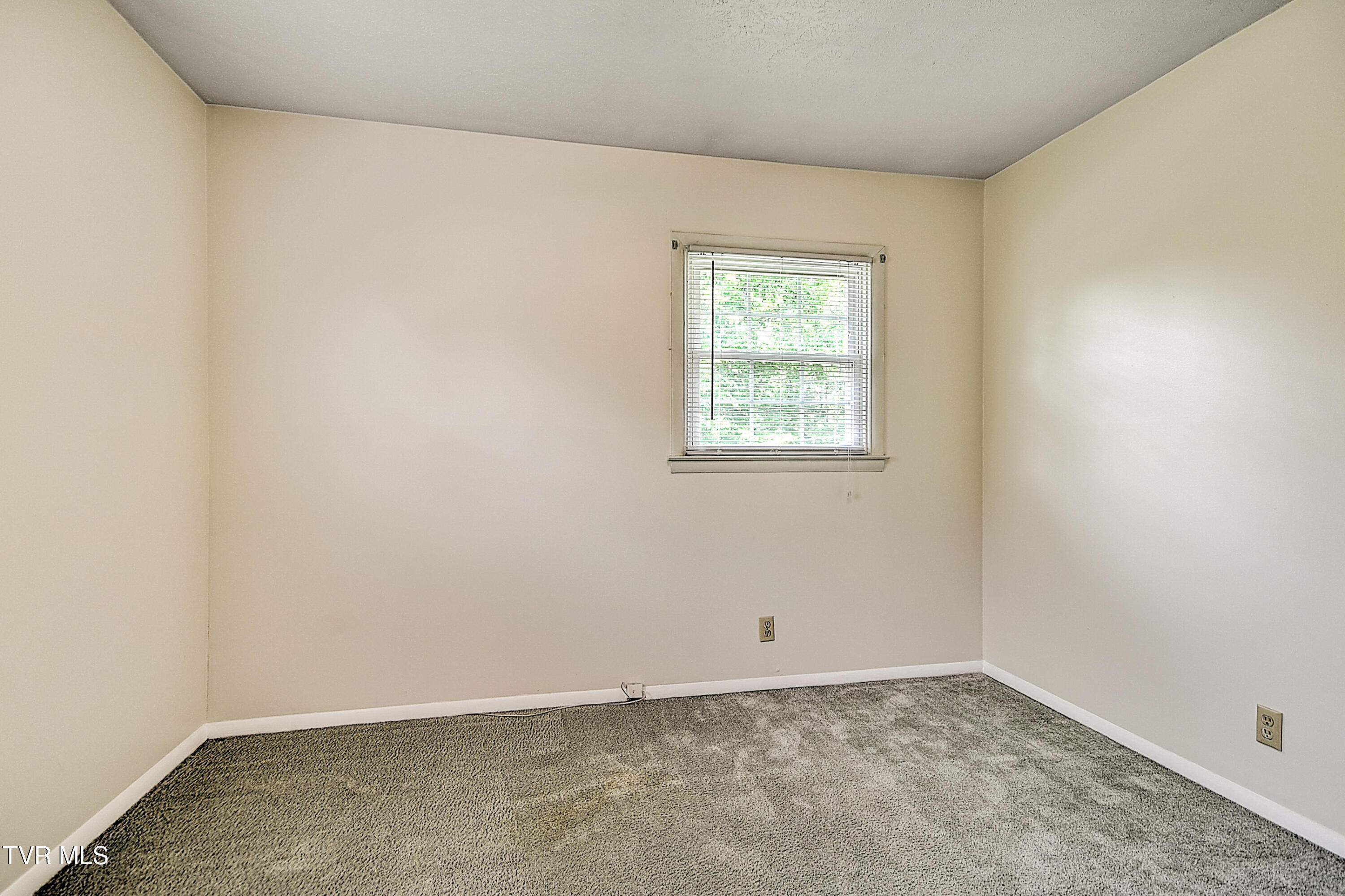 205 Clear Branch Circle, Blountville, Tennessee image 23