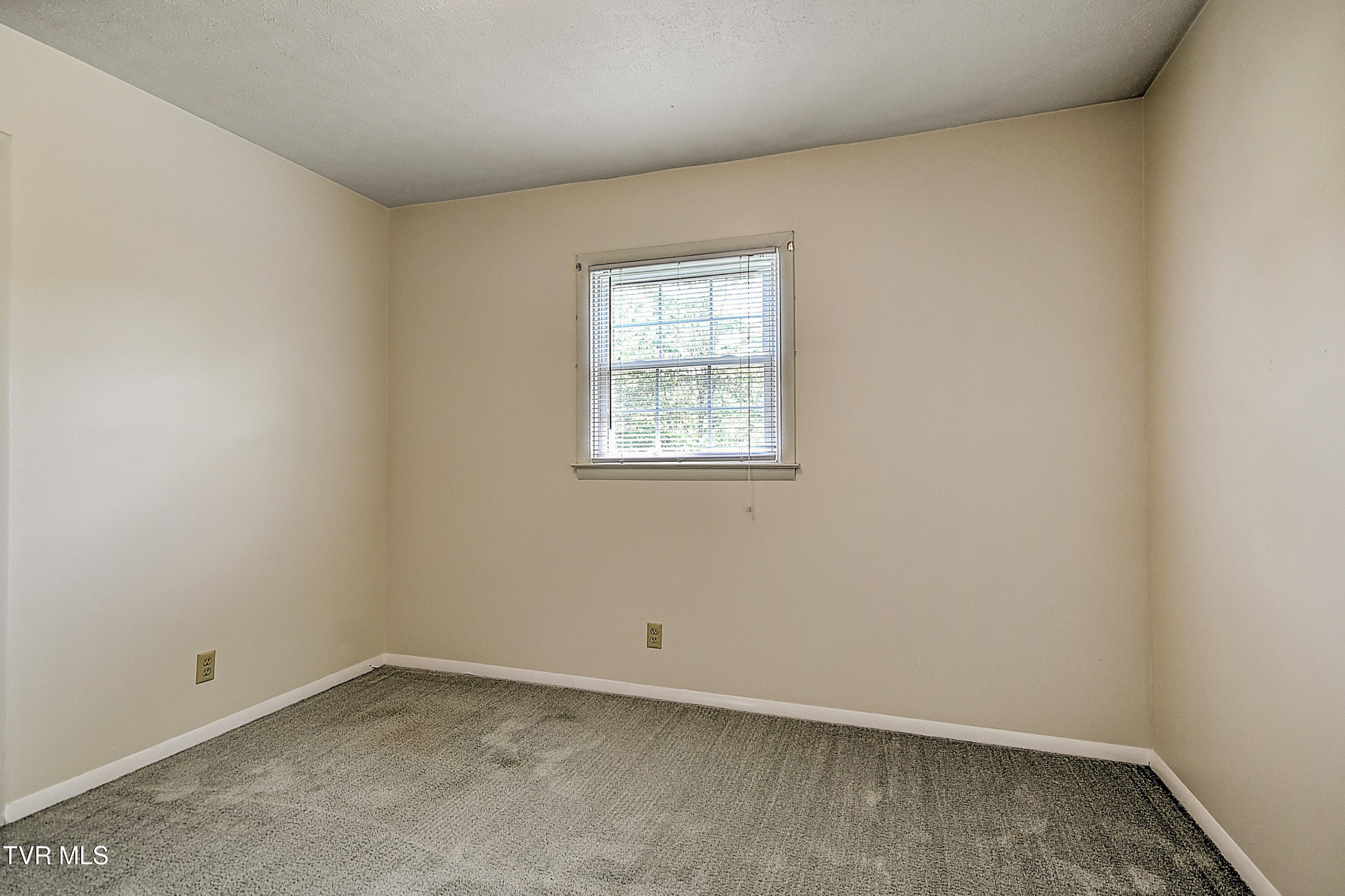 205 Clear Branch Circle, Blountville, Tennessee image 26