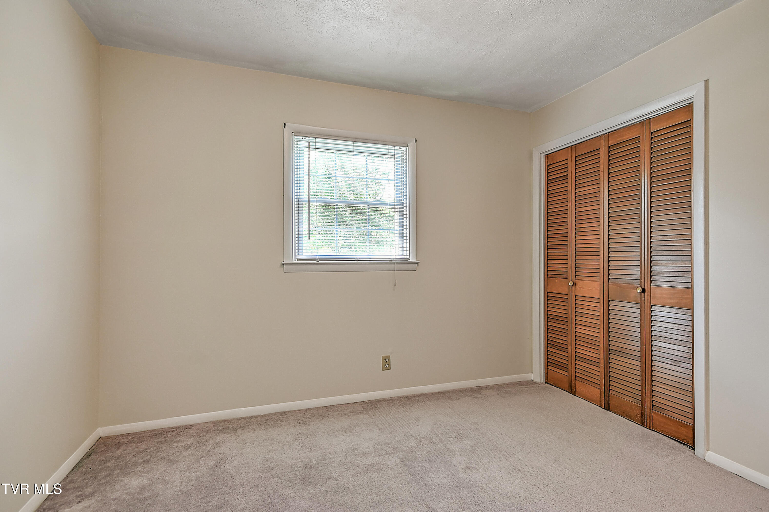 205 Clear Branch Circle, Blountville, Tennessee image 20
