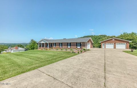 Photo of 146 Central Drive, Johnson City, TN 37601 (MLS # 9997681)