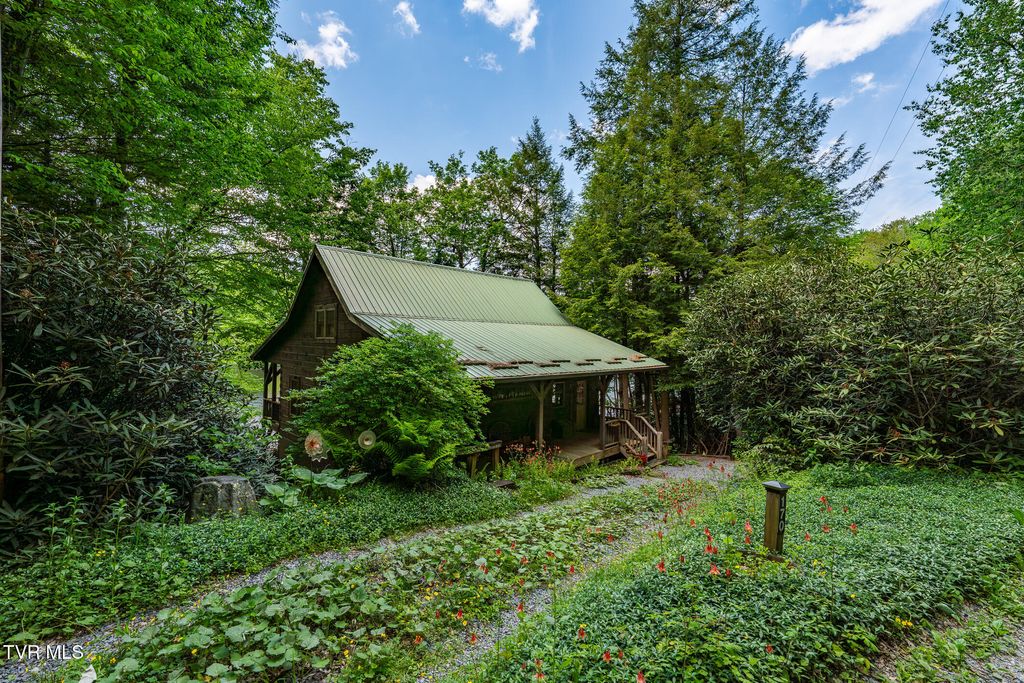Photo of 170 Ripshin Lake Road, Roan Mountain, TN 37687 (MLS # 9995984)