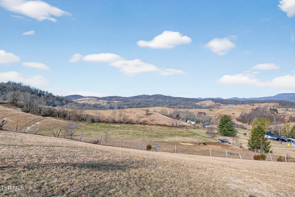 Photo of 32383 Raccoon Trail, Meadowview, VA 24361 (MLS # 9991148)