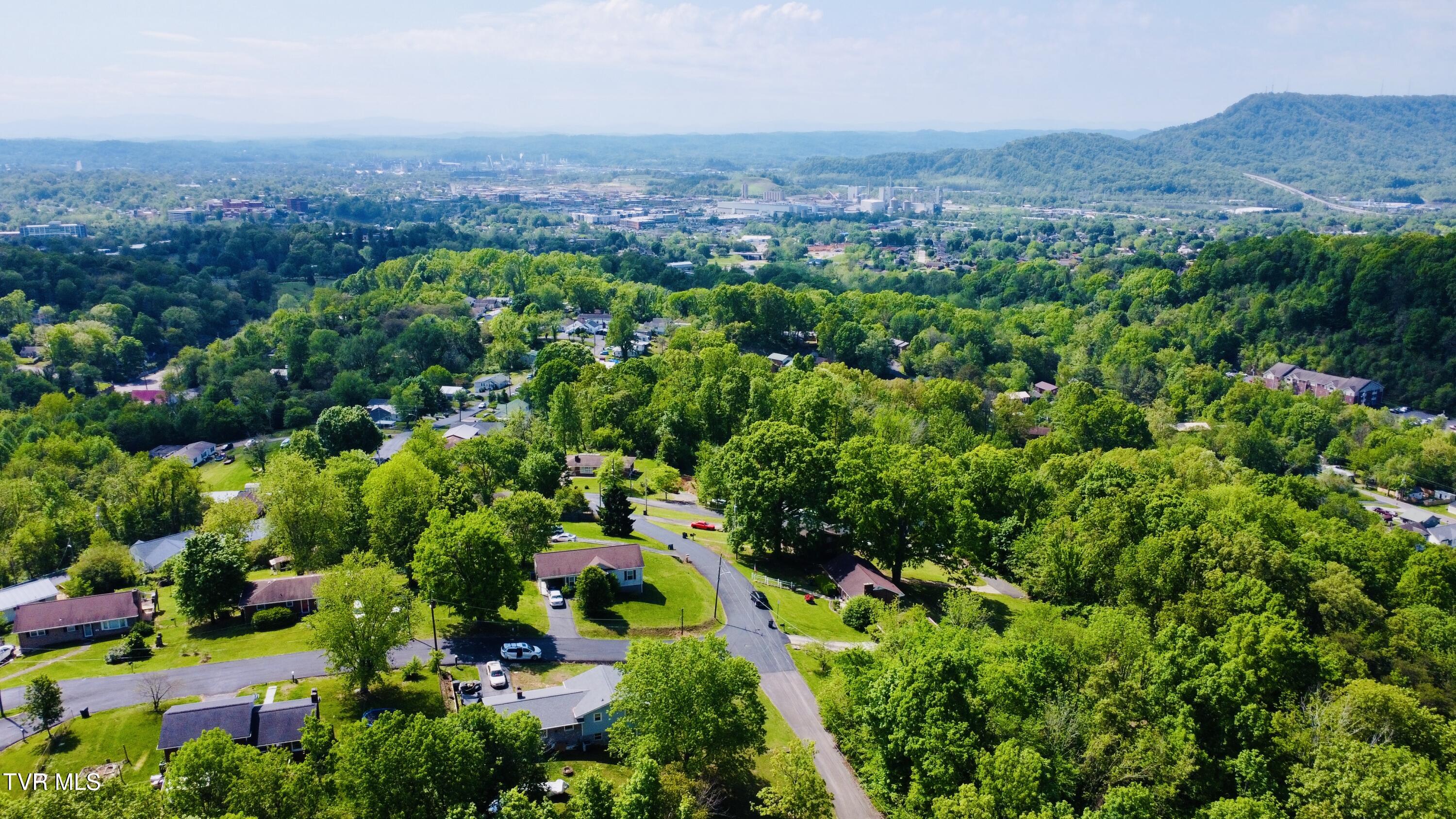 100 Monticello Avenue, Kingsport, Tennessee image 41