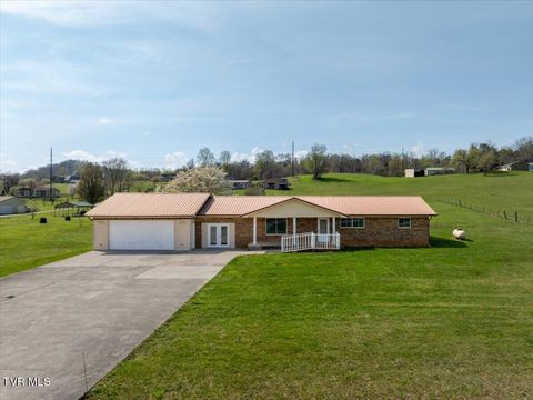 Photo of 345 Arrowood Road, Jonesborough, TN 37659 (MLS # 9993356)