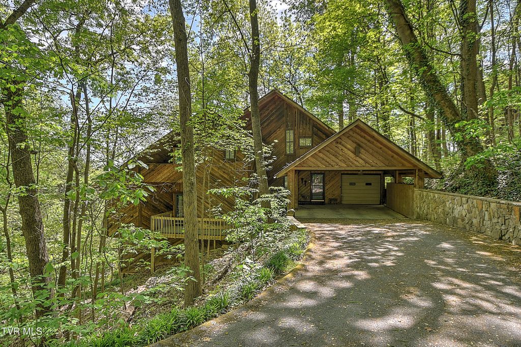 Photo of 3411 Linkwood Drive, Johnson City, TN 37601 (MLS # 9994072)