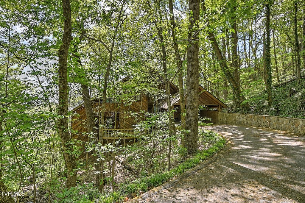 Photo of 3411 Linkwood Drive, Johnson City, TN 37601 (MLS # 9994072)
