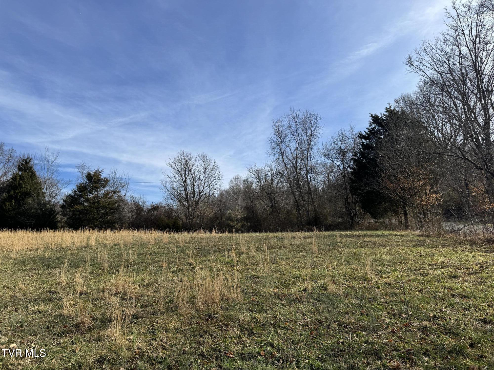 Wilkerson Road, Mosheim, Tennessee image 18