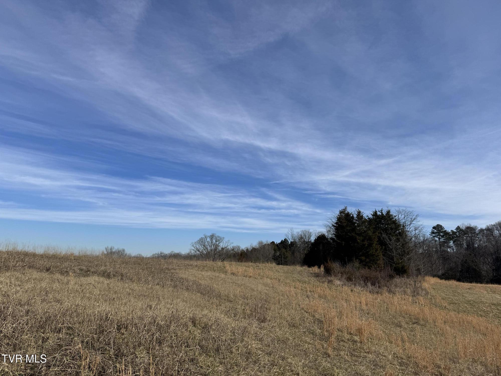 Wilkerson Road, Mosheim, Tennessee image 7