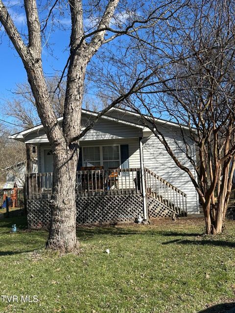 Photo of 1707 Daytona Drive, Johnson City, TN 37601 (MLS # 9990364)