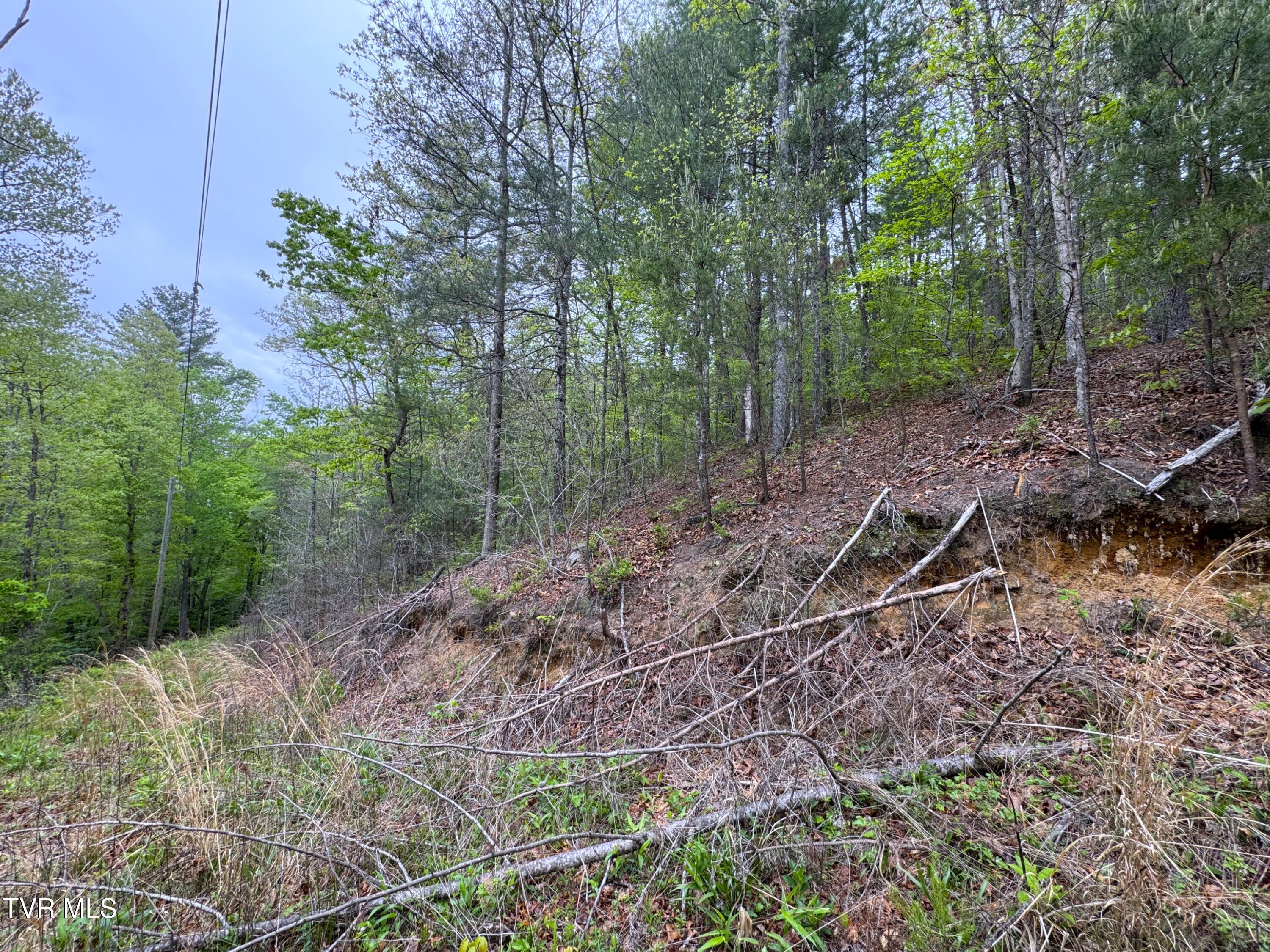 376 Summer House Hollow Road, Del Rio, Tennessee image 4