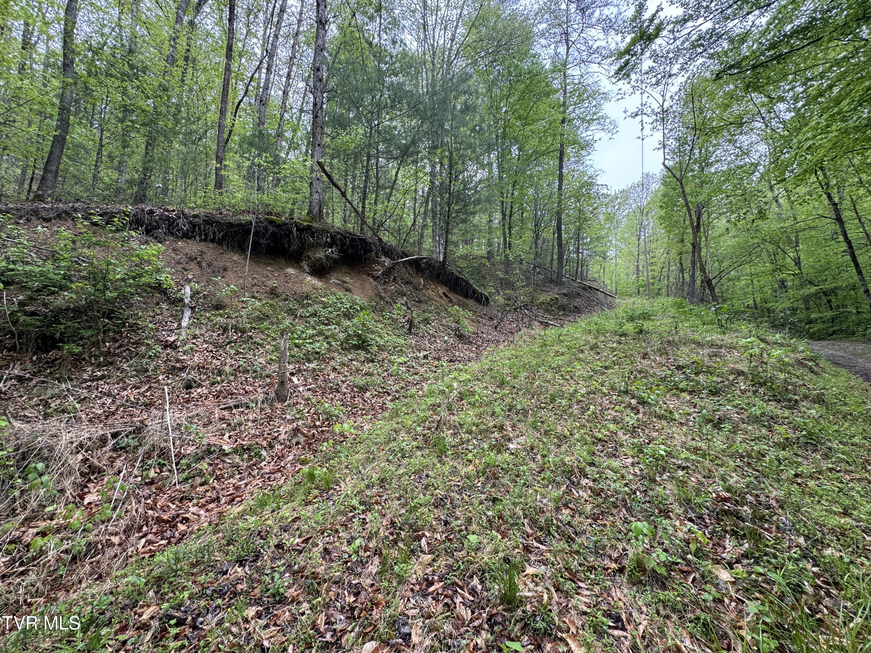376 Summer House Hollow Road, Del Rio, Tennessee image 1