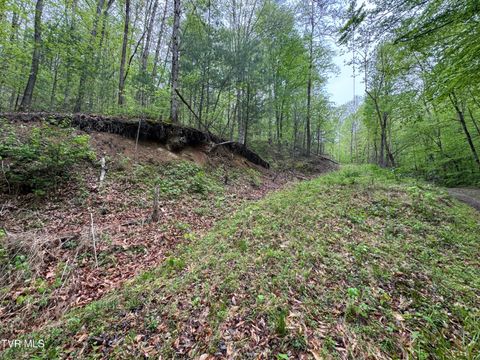 Vacant Land For Sale - 376 Summer House Hollow Road<br/> Cocke County, Del Rio, TN 37727